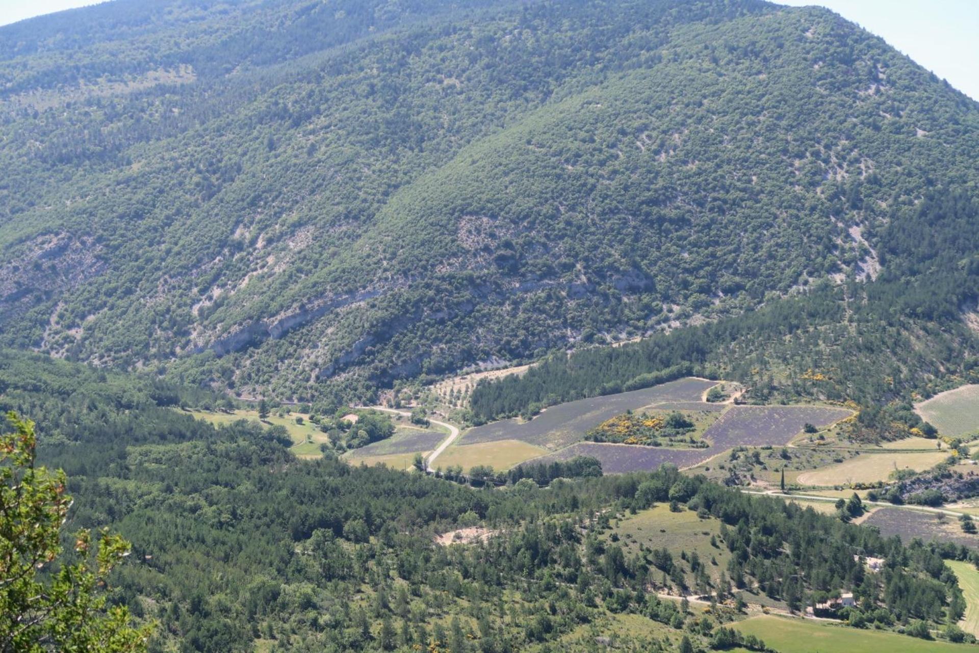 La Terrasse D'Olea, Au Coeur Du Village Buis-les-Baronnies Exteriér fotografie